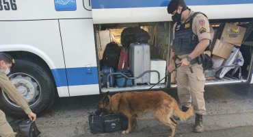 Com ajuda de cães varejadores, Polícia Militar Rodoviária realiza ação na BR-146 e na MG-187 Com ajuda de cães varejadores, Polícia Militar Rodoviária realiza ação na BR-146 e na MG-187