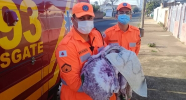 Corpo de Bombeiros de Patrocínio auxilia mulher em trabalho de parto Corpo de Bombeiros de Patrocínio auxilia mulher em trabalho de parto