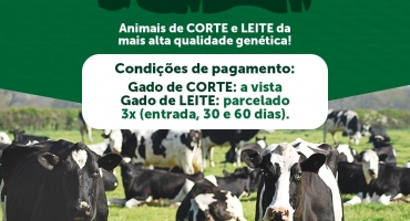 Sindicato dos Produtores Rurais de Lagoa Formosa realiza Leilão Misto no próximo sábado (28) no modo presencial e virtual Sindicato dos Produtores Rurais de Lagoa Formosa realiza Leilão Misto no próximo sábado (28) no modo presencial e virtual