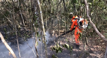 Incêndio no município de Lagoa Formosa destrói aproximadamente 50 hectares de reservas, pastagens e palhadas Incêndio no município de Lagoa Formosa destrói aproximadamente 50 hectares de reservas, pastagens e palhadas