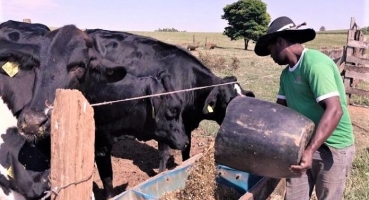 Alta de custos na produção de leite preocupa produtores