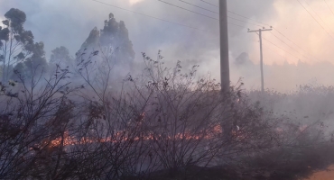 Ocorrências na rede elétrica causadas por queimadas quase dobram em 2021 Ocorrências na rede elétrica causadas por queimadas quase dobram em 2021