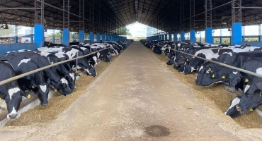 Fazenda Campo Alegre de Luiz Alexandre Avelar “Xandoca” está entre as 50 mais produtivas do Brasil Fazenda Campo Alegre de Luiz Alexandre Avelar “Xandoca” está entre as 50 mais produtivas do Brasil