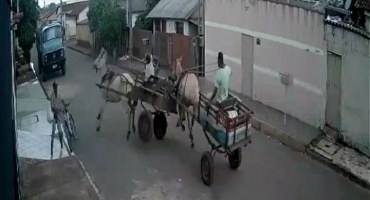 Acidente entre duas carroças deixa homem ferido em Carmo do Paranaíba – Veja vídeo Acidente entre duas carroças deixa homem ferido em Carmo do Paranaíba – Veja vídeo
