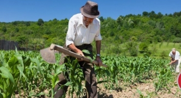 Mais de 28 mil agricultores familiares de MG vão receber o Garantia-Safra Mais de 28 mil agricultores familiares de MG vão receber o Garantia-Safra