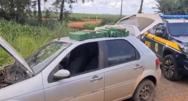 PRF apreende cerca de 30 quilos de maconha na BR-365 no município de Patos de Minas PRF apreende cerca de 30 quilos de maconha na BR-365 no município de Patos de Minas