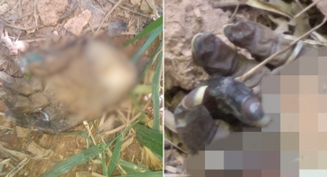 Moradores de Lagoa Formosa localizam mãos humanas às margens de córrego no Bairro Nossa Senhora do Rosário Moradores de Lagoa Formosa localizam mãos humanas às margens de córrego no Bairro Nossa Senhora do Rosário