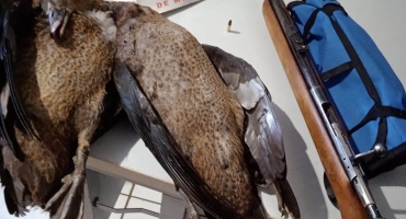 Caçadores matam patos selvagens e acabam detidos pela Polícia Militar Caçadores matam patos selvagens e acabam detidos pela Polícia Militar