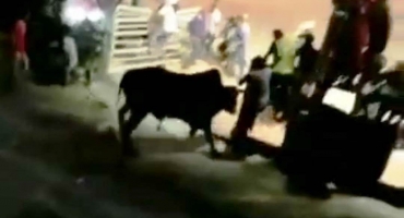 Fenacafé: touro pula cerca, invade arquibancadas durante rodeio em Patrocínio e deixa pessoas feridas Fenacafé: touro pula cerca, invade arquibancadas durante rodeio em Patrocínio e deixa pessoas feridas
