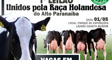 Festa do Feijão: 1º Leilão Unidos pela Raça Holandesa do Alto Paranaíba acontece em Lagoa Formosa Festa do Feijão: 1º Leilão Unidos pela Raça Holandesa do Alto Paranaíba acontece em Lagoa Formosa