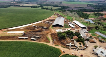 Festa do Feijão: Dia de Campo acontece nesta quarta (27) na Fazenda Campo Alegre 