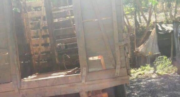 Ladrão de gado é preso após furtar 14 animais da raça nelore em fazenda próximo a Quintinos 