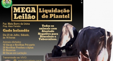 Sindicato dos Produtores Rurais de Lagoa Formosa realiza Mega Leilão Liquidação de Plantel Sindicato dos Produtores Rurais de Lagoa Formosa realiza Mega Leilão Liquidação de Plantel