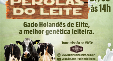 Sindicato Rural de Lagoa Formosa realiza neste sábado (27) o 3º Leilão Pérolas do Leite