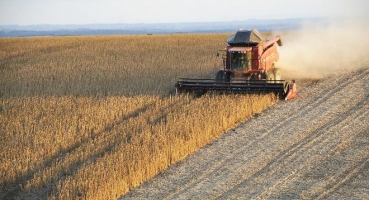 Com aumento de 12,7% na produção, Região Sudeste deve colher nesta safra mais de 27,14 milhões de toneladas de grãos