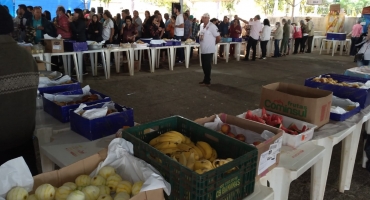 Festa de Nossa Senhora da Piedade: romeiros de toda região do Alto Paranaíba são recepcionados em Lagoa Formosa