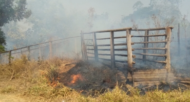 Queimada que começou em pastagem assusta moradores de propriedade rural em Lagoa Formosa 