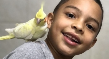 Menino de 7 anos morre afogado em poço de criação de peixes na zona rural de Serra do Salitre Menino de 7 anos morre afogado em poço de criação de peixes na zona rural de Serra do Salitre