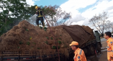 Caminhão carregado com melancias sofre princípio de incêndio; carga seguia para o CEASA de Patos de Minas Caminhão carregado com melancias sofre princípio de incêndio; carga seguia para o CEASA de Patos de Minas