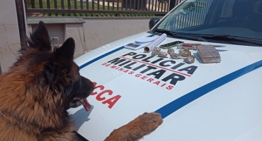 Após ser detido por agredir namorada e ameaçar a mãe; polícia encontra droga em sítio de suspeito Após ser detido por agredir namorada e ameaçar a mãe; polícia encontra droga em sítio de suspeito