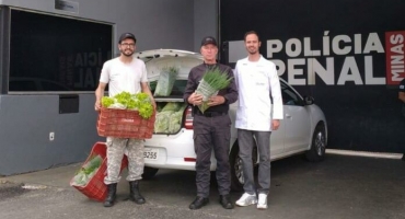 Detentos da penitenciária de Patrocínio produzem verduras e hortaliças que são doadas à instituições da cidade