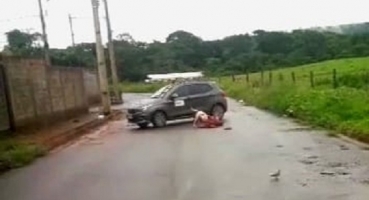 Vídeo mostra cachorro atacando e matando outro cão menor no bairro Jardim Quebec em Patos de Minas Vídeo mostra cachorro atacando e matando outro cão menor no bairro Jardim Quebec em Patos de Minas