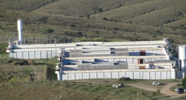 Detento da Penitenciária Deputado Expedito de Faria Tavares de Patrocínio afirma que foi estuprado por colega de cela Detento da Penitenciária Deputado Expedito de Faria Tavares de Patrocínio afirma que foi estuprado por colega de cela