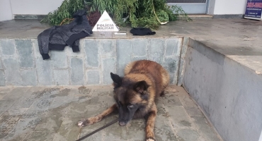Após roubo a residência, Polícia Militar prende dois suspeitos de tráfico de drogas Após roubo a residência, Polícia Militar prende dois suspeitos de tráfico de drogas
