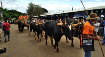 Desfile de carros de bois é atração da Festa de São Sebastião em Monjolinho