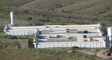 Detento que teria sido estuprado em penitenciária na cidade de Patrocínio relata ter sido ameaçado por facção criminosa Detento que teria sido estuprado em penitenciária na cidade de Patrocínio relata ter sido ameaçado por facção criminosa