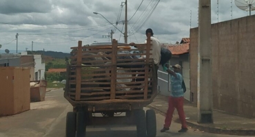 Carmo do Paranaíba – Prefeitura realiza ‘Mutirão de Limpeza” nos bairros da cidade; Já são 24 casos de dengue confirmados no município Carmo do Paranaíba – Prefeitura realiza ‘Mutirão de Limpeza” nos bairros da cidade; Já são 24 casos de dengue confirmados no município