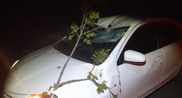 Carmo do Paranaíba – Árvore cai em rodovia e atinge automóvel Carmo do Paranaíba – Árvore cai em rodovia e atinge automóvel