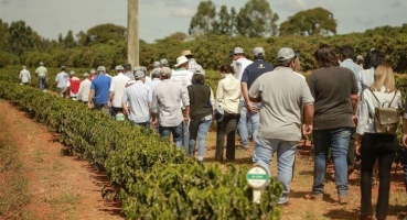 Resultados do Projeto Unidades Demonstrativas de Café para o Cerrado Mineiro serão divulgados na região em maio