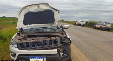 Morador de Carmo do Paranaíba morre atropelado na BR-354 Morador de Carmo do Paranaíba morre atropelado na BR-354