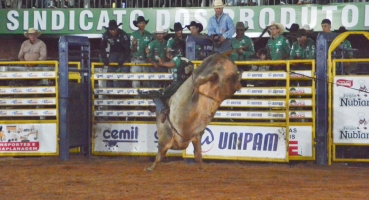 Rodeio, coroação da rainha, Festival de Pratos Típicos e show com Gino e Geno marcaram o segundo dia da Festa do Feijão de 2023