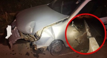 Motorista atinge mureta e derruba radar da avenida JK, em Patos de Minas Motorista atinge mureta e derruba radar da avenida JK, em Patos de Minas