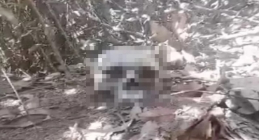 Crânio humano é encontrado às margens de córrego, em área rural de Guimarânia Crânio humano é encontrado às margens de córrego, em área rural de Guimarânia