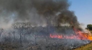 Incêndios florestais registram aumento de 20% no 1º semestre de 2023; afirma Corpo de Bombeiros de Patos de Minas Incêndios florestais registram aumento de 20% no 1º semestre de 2023; afirma Corpo de Bombeiros de Patos de Minas
