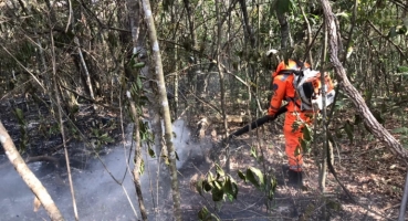 Ações para coibir incêndios criminosos são intensificadas pelo Governo de Minas Ações para coibir incêndios criminosos são intensificadas pelo Governo de Minas