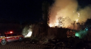 Mata do Catingueiro em Patos de Minas volta a ser incendiada; a ação pode ter sido criminosa Mata do Catingueiro em Patos de Minas volta a ser incendiada; a ação pode ter sido criminosa