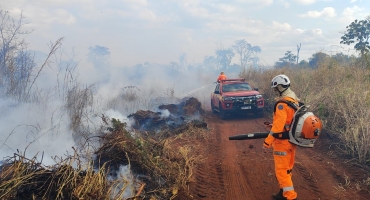 Corpo de Bombeiros combate incêndio na Mata do Catingueiro em Patos de Minas Corpo de Bombeiros combate incêndio na Mata do Catingueiro em Patos de Minas
