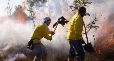 Governo de Minas faz força-tarefa e investe em ações de prevenção e parcerias para combater incêndios florestais