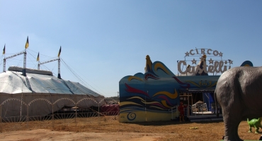 Lagoa Formosa - Circo Castelli estreia nesta quinta-feira (10) com dezenas de atrações para o respeitável público 