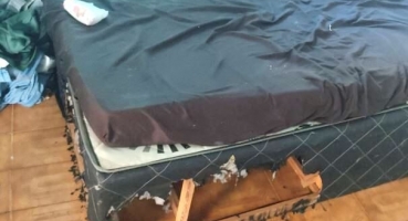 Patos de Minas - homem é preso após ameaçar e atear fogo na cama da companheira com bebê no móvel Patos de Minas - homem é preso após ameaçar e atear fogo na cama da companheira com bebê no móvel