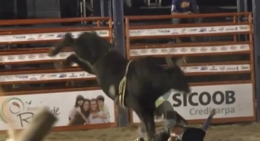 Peão da cidade de Tiros é pisoteado no rosto por touro durante rodeio em Rio Paranaíba Peão da cidade de Tiros é pisoteado no rosto por touro durante rodeio em Rio Paranaíba