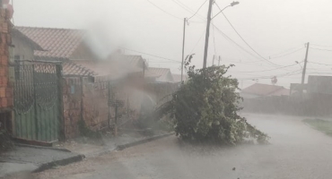 Temporal com vendaval causa estragos em vários bairros de Presidente Olegário