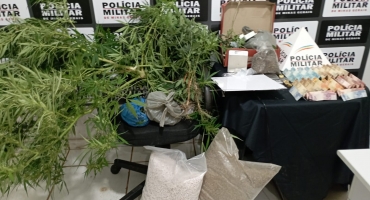 Polícia Militar de Lagoa Formosa apreende dezenas de pés de maconha, dinheiro e outros materiais usados no tráfico de drogas Polícia Militar de Lagoa Formosa apreende dezenas de pés de maconha, dinheiro e outros materiais usados no tráfico de drogas