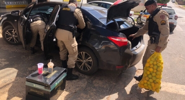 Patos de Minas - Motorista sem CNH é preso com bebidas e munição dentro de carro Patos de Minas - Motorista sem CNH é preso com bebidas e munição dentro de carro