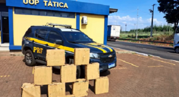 Após perseguição, jovem é preso com 200kg de maconha na BR-365 Após perseguição, jovem é preso com 200kg de maconha na BR-365