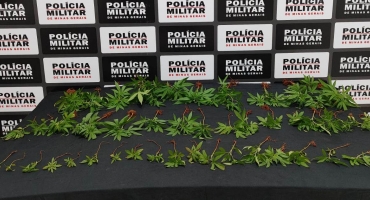 Polícia Militar de Lagoa Formosa apreende 48 pés de maconha em residência de indivíduo em surto psicótico Polícia Militar de Lagoa Formosa apreende 48 pés de maconha em residência de indivíduo em surto psicótico